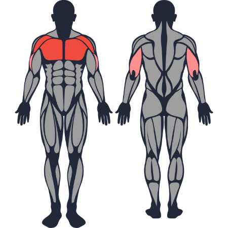 MuscleWiki - Supino Inclinado com Halteres em Posição Neutra - Ombros