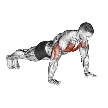 ilustração da execução do exercício flexão de braço