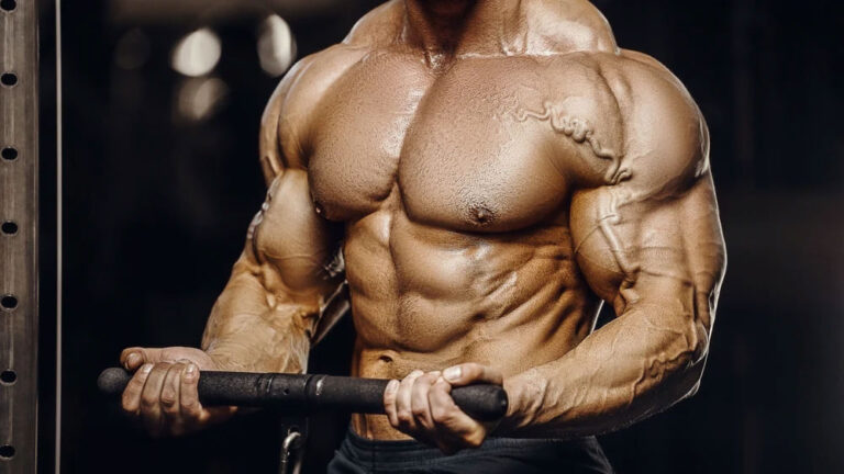 Cutting e bulking: quais as diferenças e a melhor abordagem para seu corpo?  - Strongest Supplements