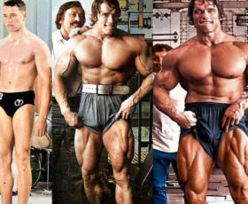 Evolução e treino de pernas de Arnold