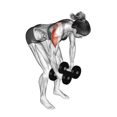 crucifixo invertido com halteres