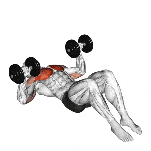 execução do exercício supino chão com halteres em gif