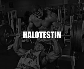 halotestin