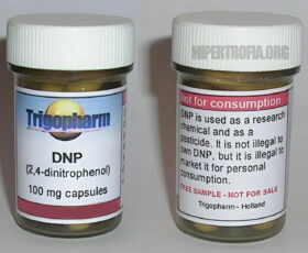 dnp termogênico