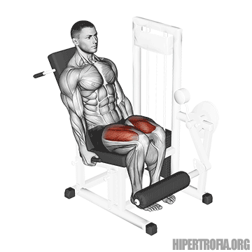 cadeira extensora gif