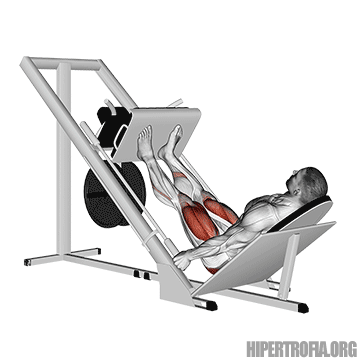 leg press 45 em gif 