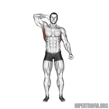alongamento em pé lateral para costas gif