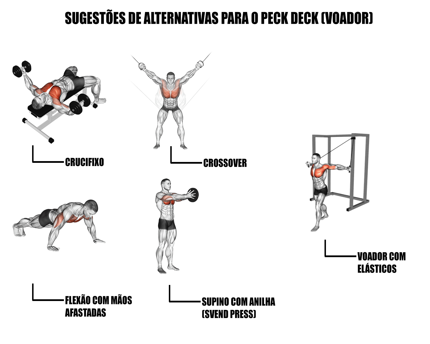 imagem mostrando 5 alternativas de exercícios que substituem o peck deck