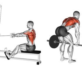 ilustração 2d mostrando os exercícios remada baixa e remada curvada, respectivamente