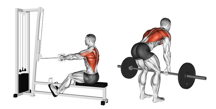 ilustração 2d mostrando os exercícios remada baixa e remada curvada, respectivamente