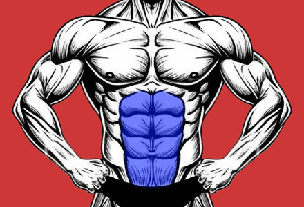 exercícios que trabalham os músculos dos abdômen