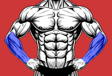 exercícios que trabalham os músculos do antebraço