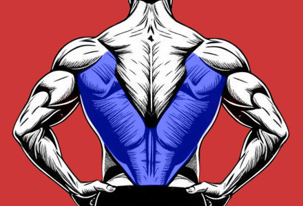 exercícios que trabalham os músculos das costas