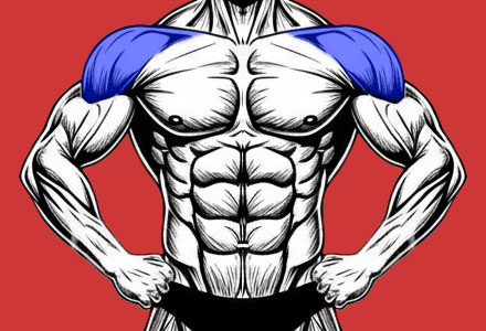 exercícios que trabalham os músculos deltoides ou, informalmente, músculos dos ombros