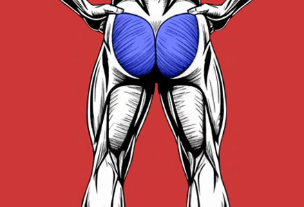 exercícios que trabalham os músculos do glúteo