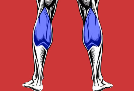 exercícios que trabalham os músculos das panturrilhas