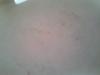 post-150515-1390676857,82_thumb.jpg