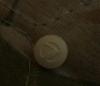 post-202885-0-65289500-1424964947_thumb.