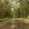 post-143034-0-66948700-1394224229_thumb.