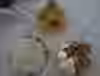 post-59917-0-65844300-1333989207_thumb.j