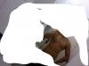 post-81055-0-33651600-1335743393_thumb.j