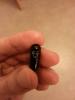 post-143464-1398371135,66_thumb.jpg
