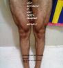 post-24840-058562300 1308346865_thumb.jp