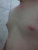 post-131982-0-22320400-1375134713_thumb.