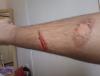 post-138436-0-38732700-1381079435_thumb.