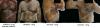 post-143505-0-69430900-1385492203_thumb.