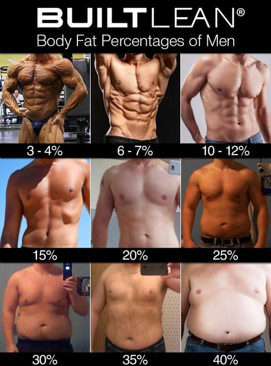 body-fat-percentage-men 2.jpg