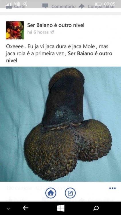 FB_IMG_1455911401714.jpg