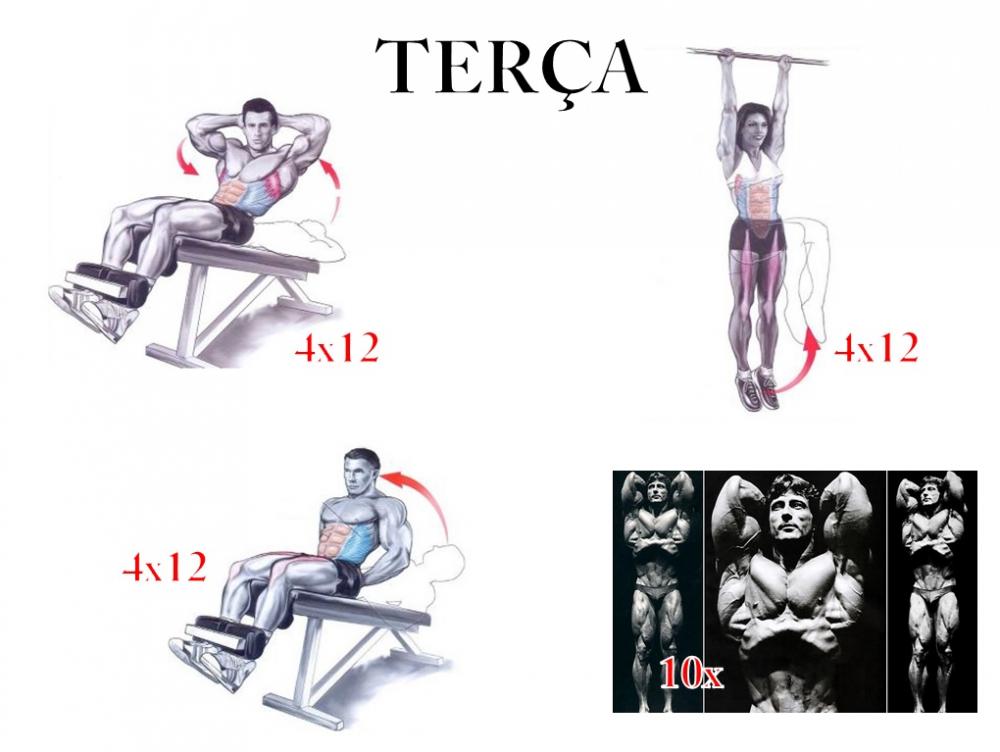 TER.jpg