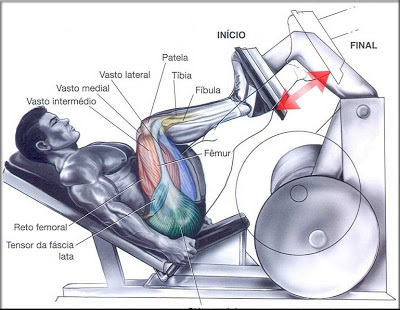 acccf-leg-press-45.jpg