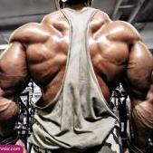 NewBodybuilder16
