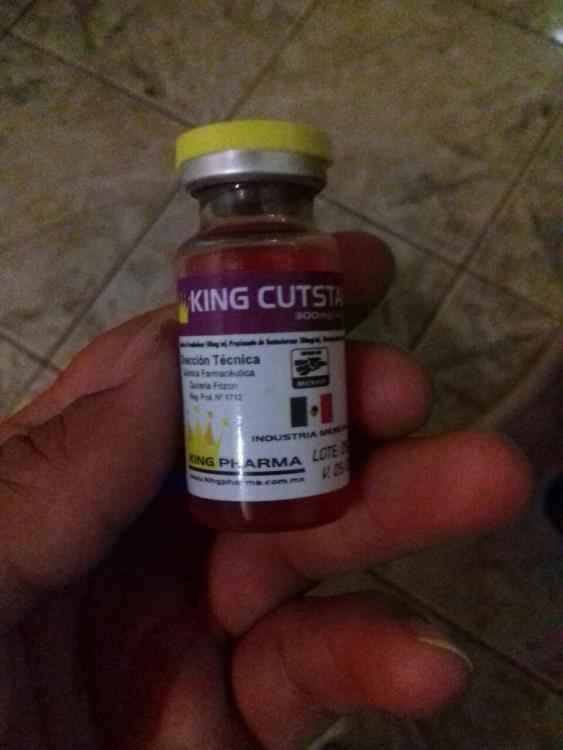 WhatsApp Image 2017-02-08 at 20.34.30.jpeg