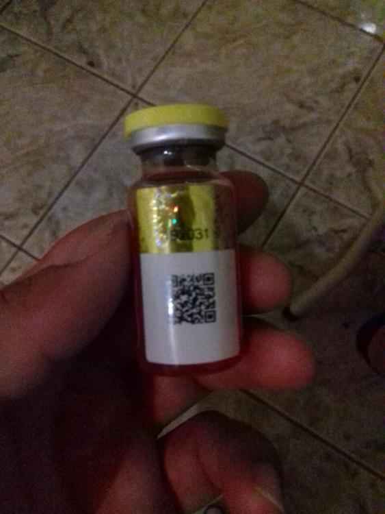 WhatsApp Image 2017-02-08 at 20.34.48.jpeg