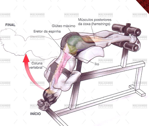 Duvida exercícios para Acertar ficha treino PERNAS - Treinamento