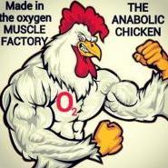 Anabolic Chicken