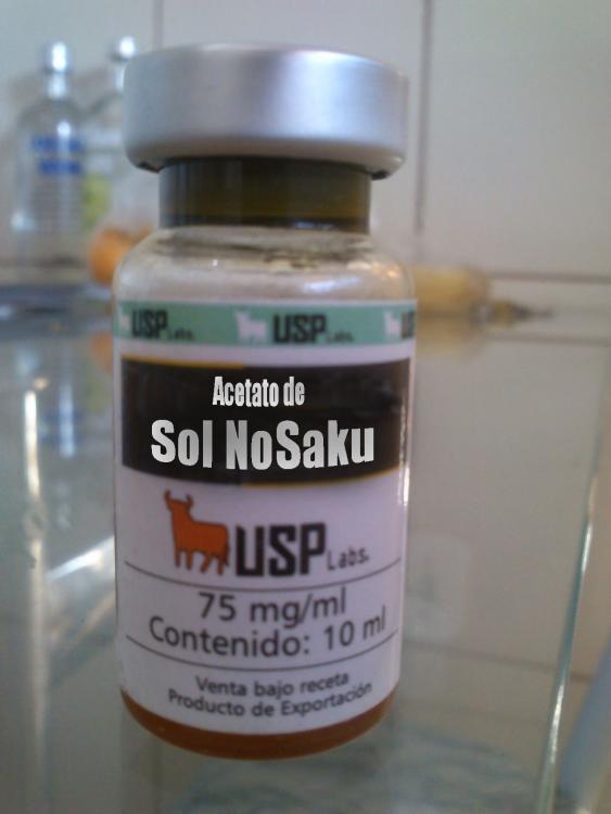 solnosaco.jpg