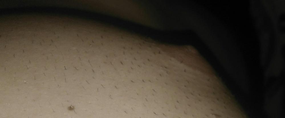 _20180804_225719.jpg