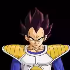 Vegeta Briefs
