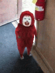 photo-36694.gif?__rand=0.82030100+1295833371
