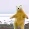 Papatinho