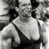 Arnold Hardcore!