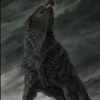 sl.fenrir