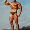 Mister Gigante