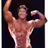 schneider_19