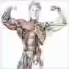victinho001